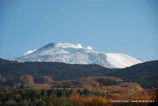 nte Spagnolo-16-11-2022 15-54-56